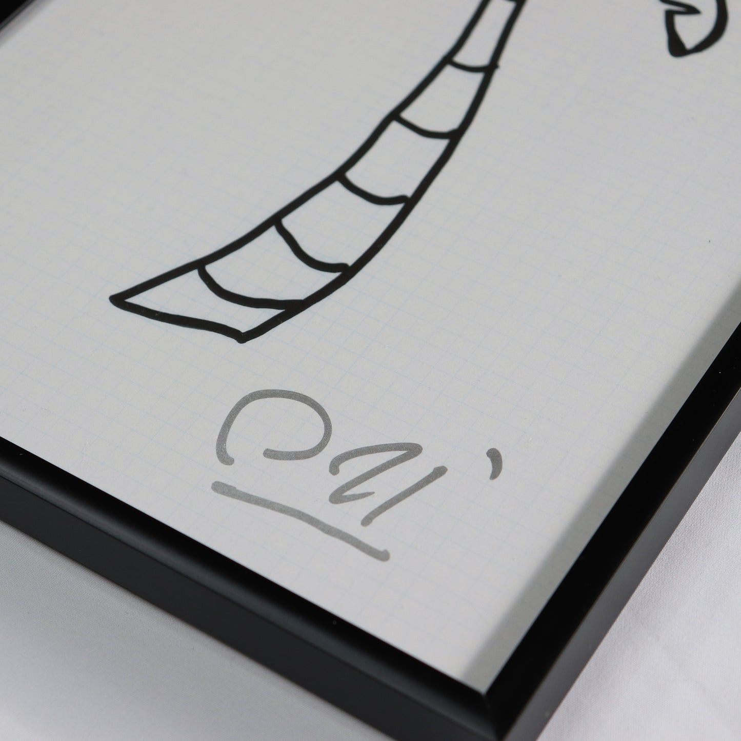 【受注販売】SAMUEL ILLUSTRATION / PALM TREE