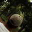 【先行受注商品】SAMUEL FIELD LOGO CAP