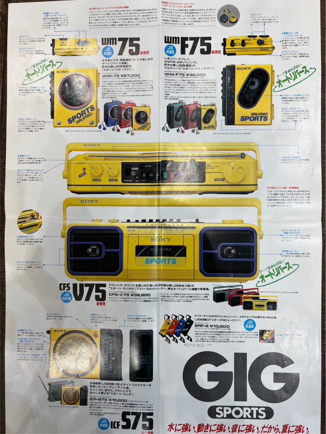 スタビリティ SONY SPORTS CFS-V75 国内仕様[レア美可動品]