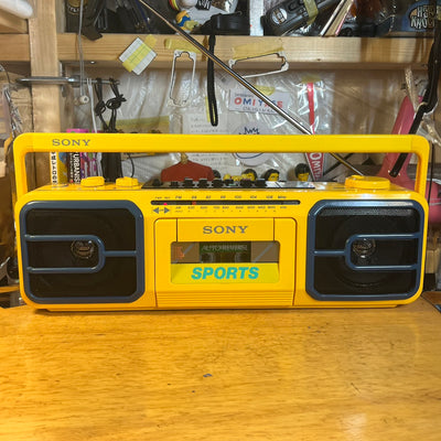 スタビリティ SONY SPORTS CFS-V75 国内仕様[レア美可動品]